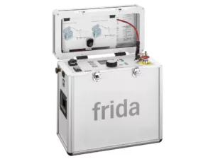 frida – Image 2